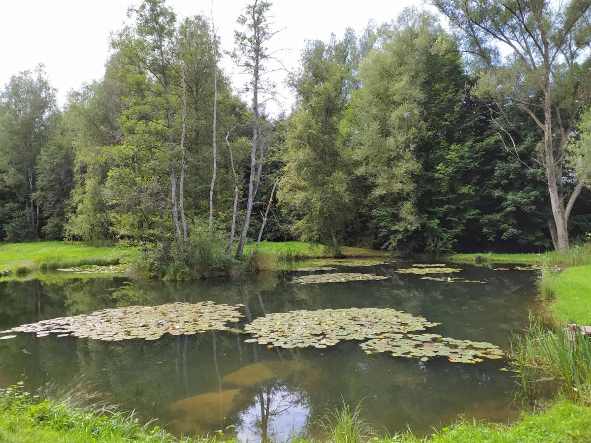 Gite De Charme Rosardenne Vaux-sur-Sure المظهر الخارجي الصورة
